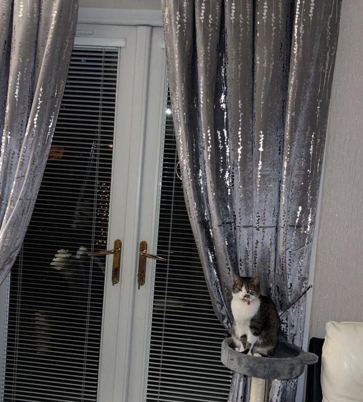 Garden City Blinds Slider Images